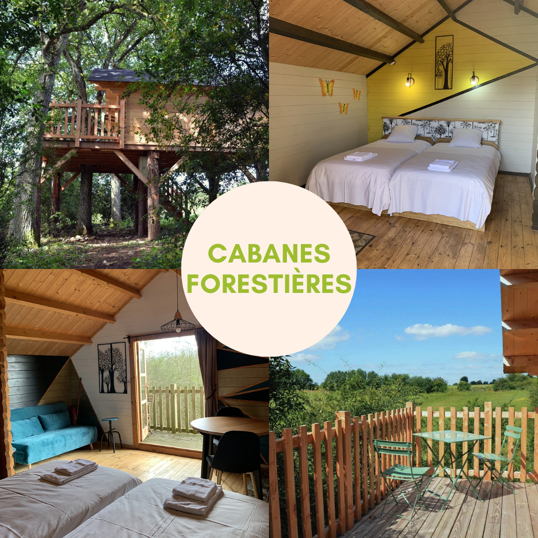 CABANE FORESTIERE ECHOLOGIA
