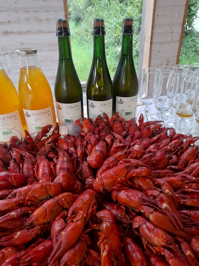 Aperitif Echologien