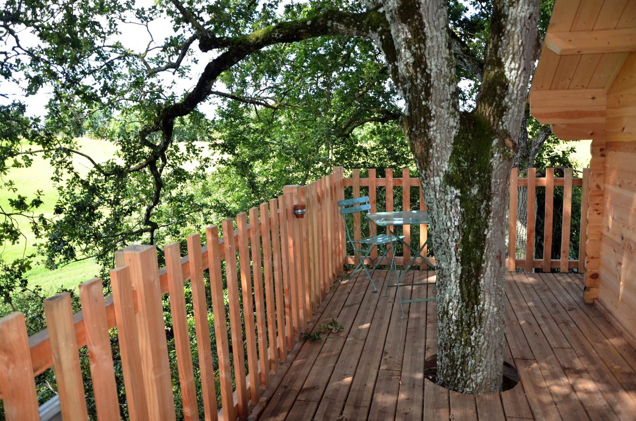 photos Oak and acacia perched cabins